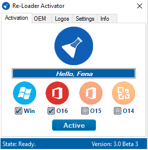 office professional plus 2013 activator