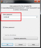 Unzip the archive with Activator (Password for archive – windows)