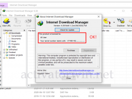 IDM Crack 6.38 Build 1 Patch + Serial Key