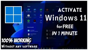 Activate Windows 11 using batch file without any Software
